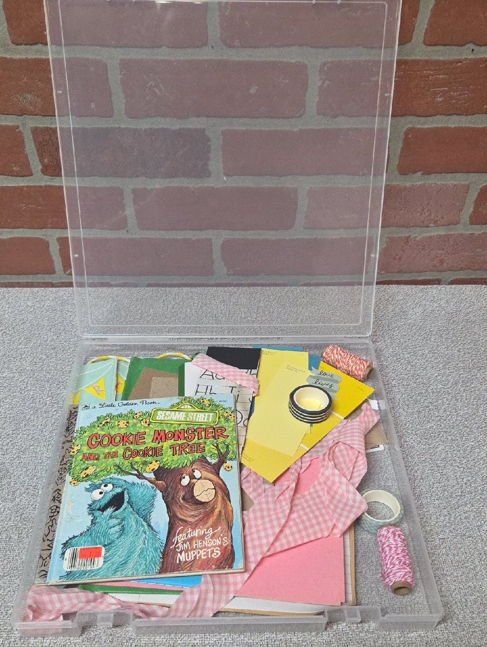 Sesame Street Junk Journal Grouping w/Plastic Box